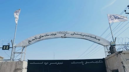 یکصدوسی و چهار زندانی از زندان مرکزی بلخ آزاد شدند
