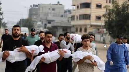 Ğəzzə şəhidon bə 68 həzo 531 nəfər rəsə