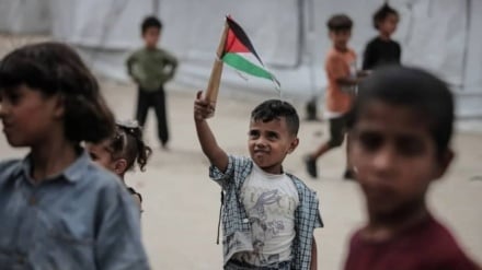 Gaza, Dua Tahun Dalam Api dan Darah, Seruan yang Tak Dijawab Dunia