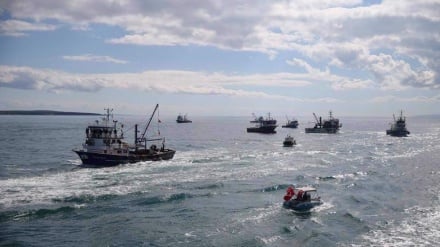 Flottille Global Sumud : Jusqu’où ira l’impunité d’Israël face au droit international ? 
