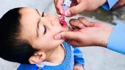 دور جدید واکسیناسیون فلج اطفال در پکتیکا آغازشد