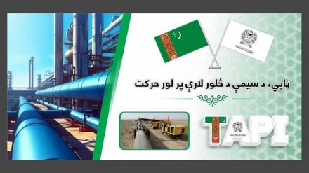 هرات در انتظار هیأت عالی‌رتبه؛ تاپی و امید به شکوفایی در اقتصاد افغانستان‎