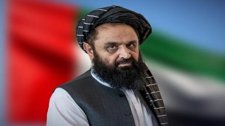 گسترش همکاری ها؛ محور دیدار سفیر افغانستان در امارات با نماینده اتحادیه اروپا