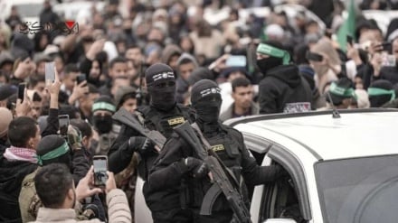 حماس آماده تحویل اسرای اسرائیلی است