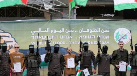 רשת אל ג'זירה: 