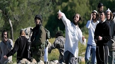 استفاده شهرک‌نشینان صهیونیست از گاز سمی ضد کشاورزان فلسطینی