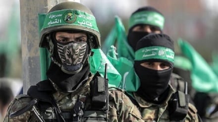Keamanan Perlawanan di Gaza: Kami Melanjutkan Perjuangan Melawan Pelanggar Hukum