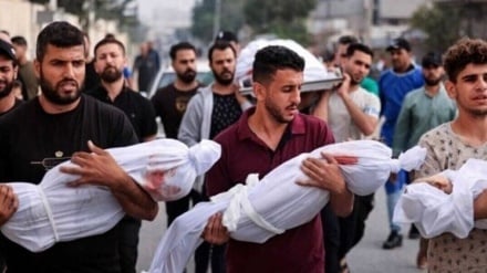 63 Märtyrer und 227 Verletzte in den letzten 24 Stunden in Gaza