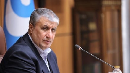 אסלאמי: ארגון האנרגיה האטומית של איראן אימץ אופציית הפיתוח בכל תחומי התעשייה הגרעינית