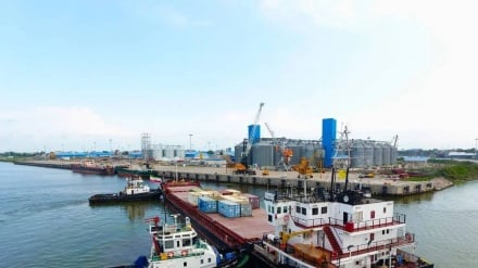 Ənzəli ozod məntəğəku 300 fayiz ixracat əlovə bey