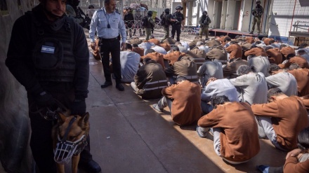 Cinq événements ; cinq photos| De la gravité de la situation des prisonniers palestiniens détenus dans les geôles israéliennes, à l’implication directe des États-Unis dans la guerre imposée de 12 jours 