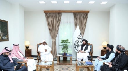 سازمان همکاری اسلامی بر حل اختلافات افغانستان و پاکستان از طریق گفت‌وگو تاکید کرد