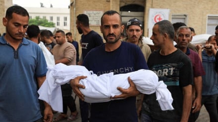 افزایش شمار شهدای جنگ غزه