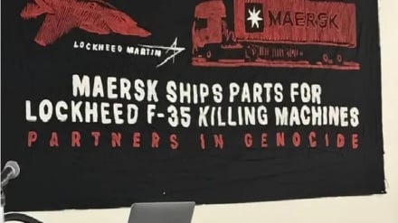 הזעם הבינלאומי גובר נגד פשעי הכיבוש: קמפיינים להחרמת נשק והאשמות נגד גרמניה בשותפות לרצח העם בעזה