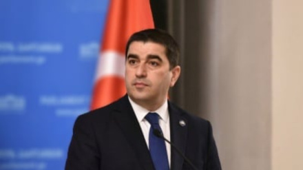 Եվրախորհրդարանը «Եվրանեսթ» հարթակը վերածել է հարևան երկրներին շանտաժի ենթարկելու գործիքի, Վրաստանի խորհրդարանի խոսնակ