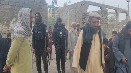 فرمانده طالبان: حادثه مسجد شینوار انفجار مین بوده است