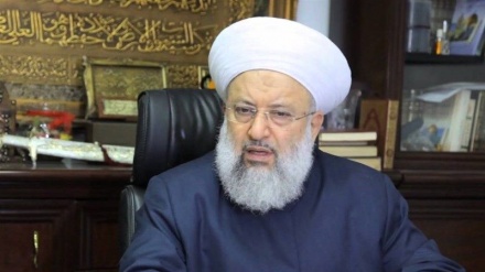 اتحادیه جهانی علمای مقاومت: روایت تل‌آویو در توجیه حمله به اردوگاه «عین‌الحلوه» جعلی است