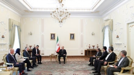 Իրանը երբեք չի ձգտել միջուկային զենք արտադրել. Մասուդ Փեզեշքիանը՝ Ավստրիայի նոր դեսպանին