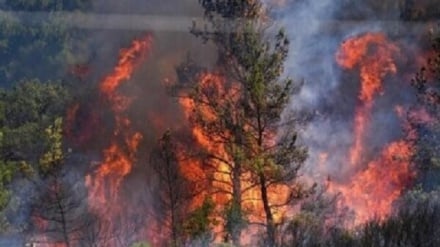 הצלת יערות הורקניה מהשמיים; תפקידו של לוויין ח'יאם בשליטה בשריפות