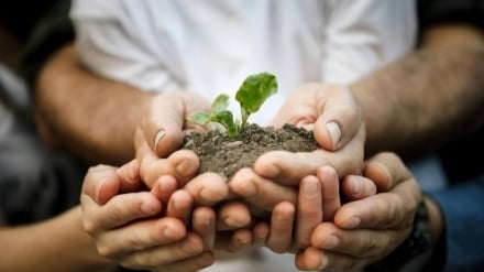 Why Islam stresses both individual and social responsibility?