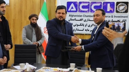 آغاز تحول در سکتور داروسازی افغانستان با امضای تفاهم‌نامه با شرکت ایرانی