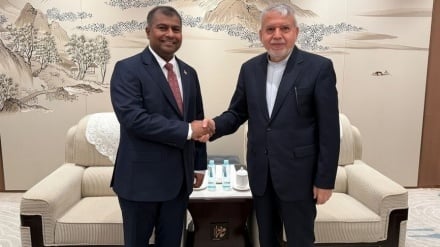 صالحی‌امیری: ایران شریک مطمئن میراثی، فرهنگی و گردشگری برای مالدیو است