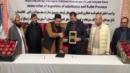 گام مهم بازرگانان افغان و ازبک برای تسهیل صادرات افغانستان