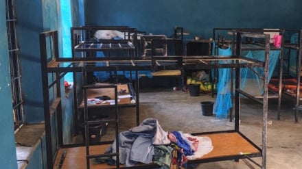 50 élèves enlevés dans l'État du Niger parviennent à s'échapper