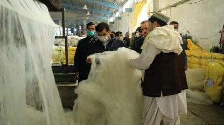 هرات در مسیر صنعت سبز بازیافت زباله