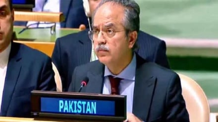 افغانستان کښې غیر قانوني وسلو ته د ترهګرو ډلو لاسرسی د امنیت لپاره خطر دی