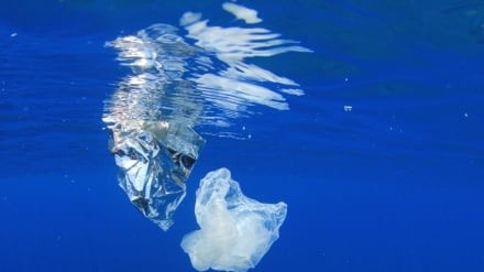 Regulasi Baru Eropa; Garis Merah Baru untuk Sampah Dasar Laut