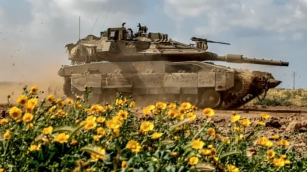 Экологическая и медицинская катастрофа в секторе Газа из-за атак сионистского режима Израиля