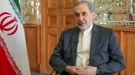 Notizie | Velayati: L'obiettivo di Trump nel negare la violazione del cessate il fuoco a Gaza è economico / Sviluppo della cooperazione economica tra Mosca e Pechino