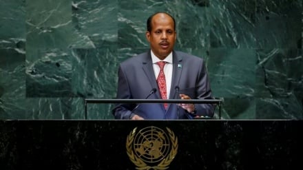 अफ्रीका संयुक्त राष्ट्र सुरक्षा परिषद में स्थायी सीट क्यों चाहता है?