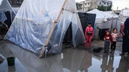 Cinq événements ; cinq photos| De l'aggravation de la crise humanitaire à Gaza, à la réaction de l’Iran face à la résolution rédigée par les États-Unis