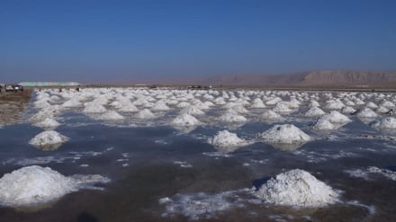 فابریکه معیاری نمک با سرمایه‌گذاری ۱۰ میلیون دلاری در بلخ احداث می‌شود