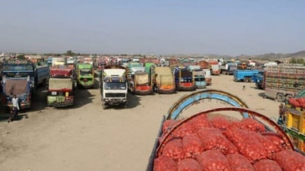 پاکستان واردات میوه افغانستان از مسیر ایران را متوقف کرد