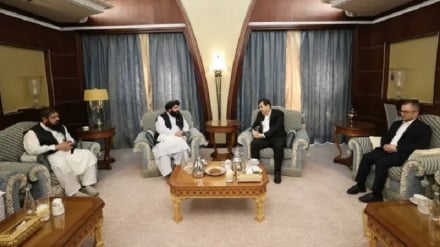 تقویت همکاری‌های ورزشی؛ محور دیدار وزیر ورزش ایران و رئیس ورزش افغانستان