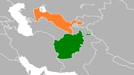 هیات ازبکستان در کابل؛ مذاکرات برای گسترش همکاری‌ها در بخش زراعت و مالداری 