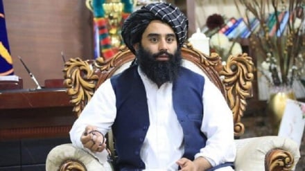 طالبان: ورود غیرمجاز از افغانستان به ایران 90 درصد کاهش یافته است