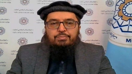 آخندزاده: ایجاد نمایشگاه‌ها در رشد صنایع افغانستان کمک می‌کند