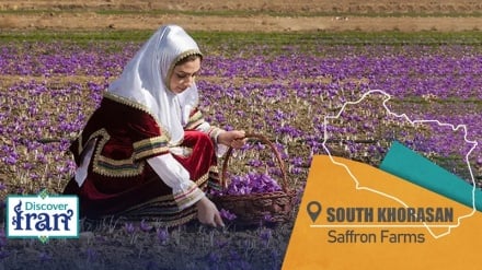 Qaenat in South Khorasan: Birthplace of world’s finest saffron
