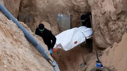 حماس جسد «هدار گولدن» را به صلیب سرخ تحویل داد