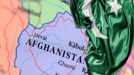 توسل به زور و خشنونت به سود افغانستان و پاکستان نخواهد بود 