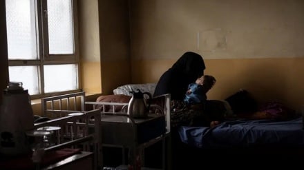 در جستجوی آرامش؛ روایت جمع‌آوری و درمان ۷۵۰ بیمار روح و روان در هرات