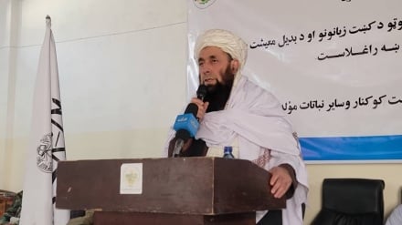 طرح پنج ساله‌ وزارت زراعت طالبان برای ترویج کشت جایگزین خشخاش