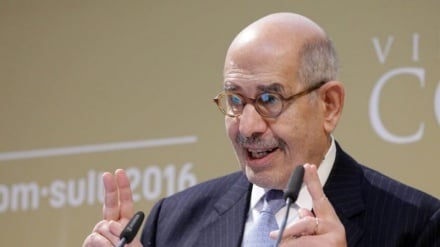 ElBaradei akosoa kimya cha serikali za Kiarabu kuhusu jinai za Wazayuni huko Gaza
