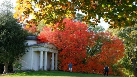 شکوه رنگ‌های پاییزی در سراسر جهان