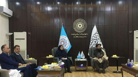 بررسی راهکارهای تسهیل تجارت محصولات زراعی افغانستان به ایران