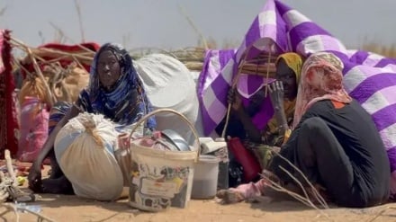সুদানে ৬০ হাজারের বেশি মানুষ এল-ফাশের থেকে পালিয়েছে: জাতিসংঘ